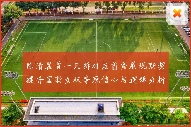 陈清晨贾一凡拆对后首秀展现默契提升国羽女双争冠信心与逻辑分析