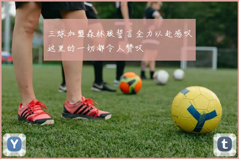 三球加盟森林狼誓言全力以赴感叹这里的一切都令人赞叹
