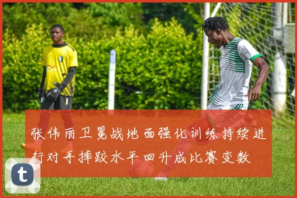 张伟丽卫冕战地面强化训练持续进行对手摔跤水平回升成比赛变数