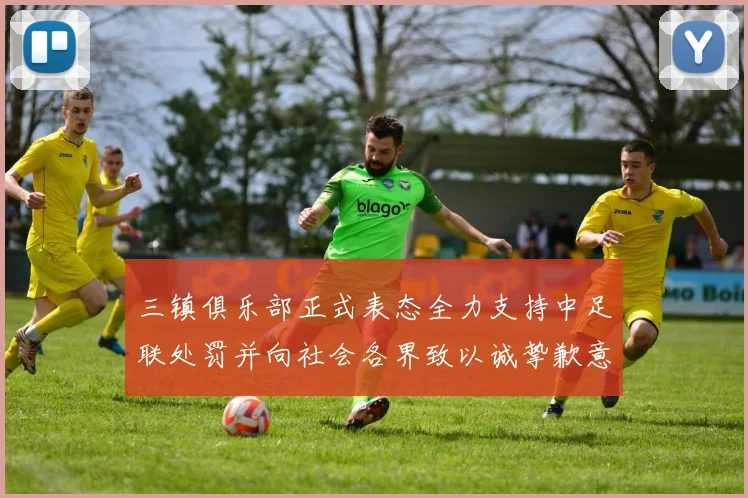 三镇俱乐部正式表态全力支持中足联处罚并向社会各界致以诚挚歉意